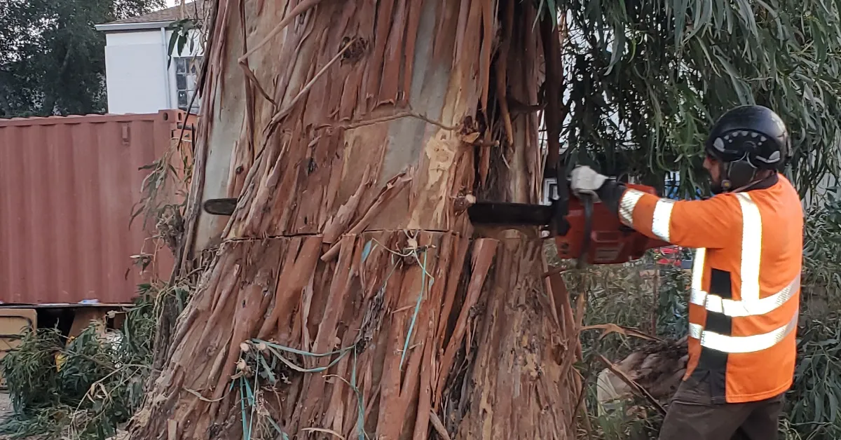 Tree Service Company