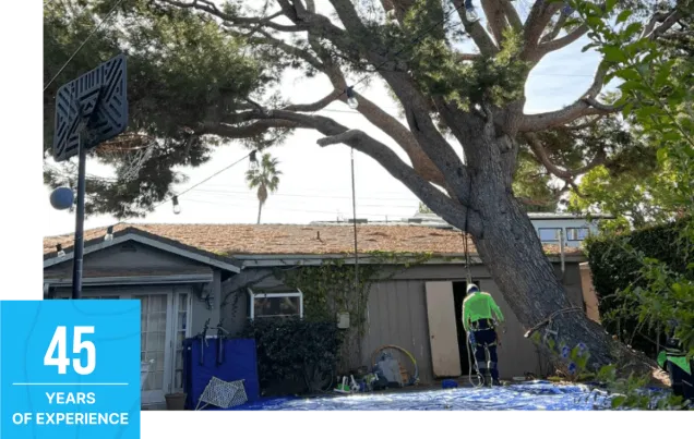 45 years of experience